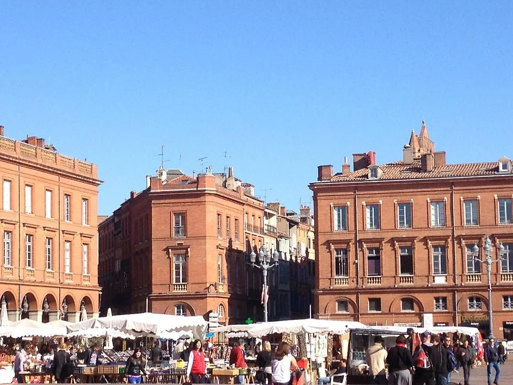 Les Platanes Apartment Toulouse France