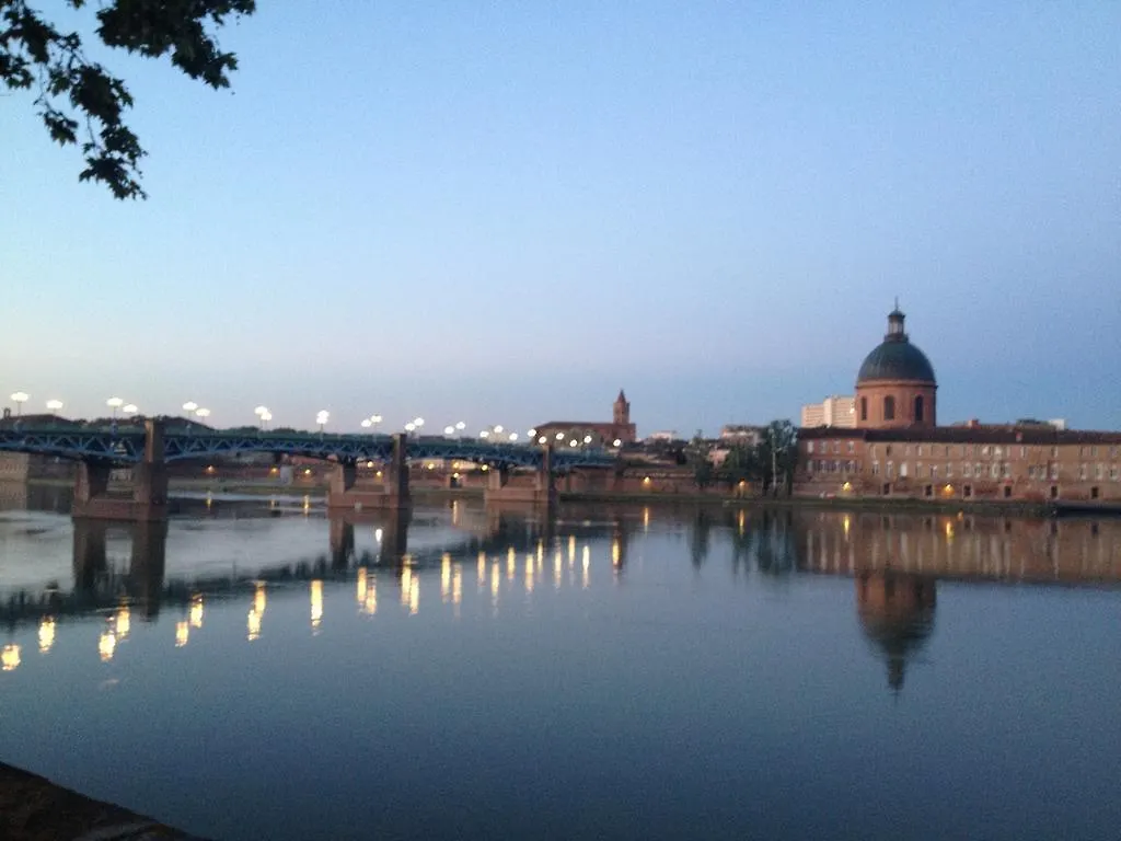 Les Platanes Apartment Toulouse